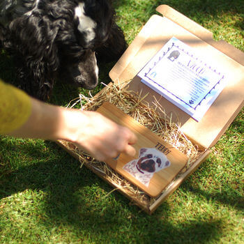 Dog Lover Subscription Box