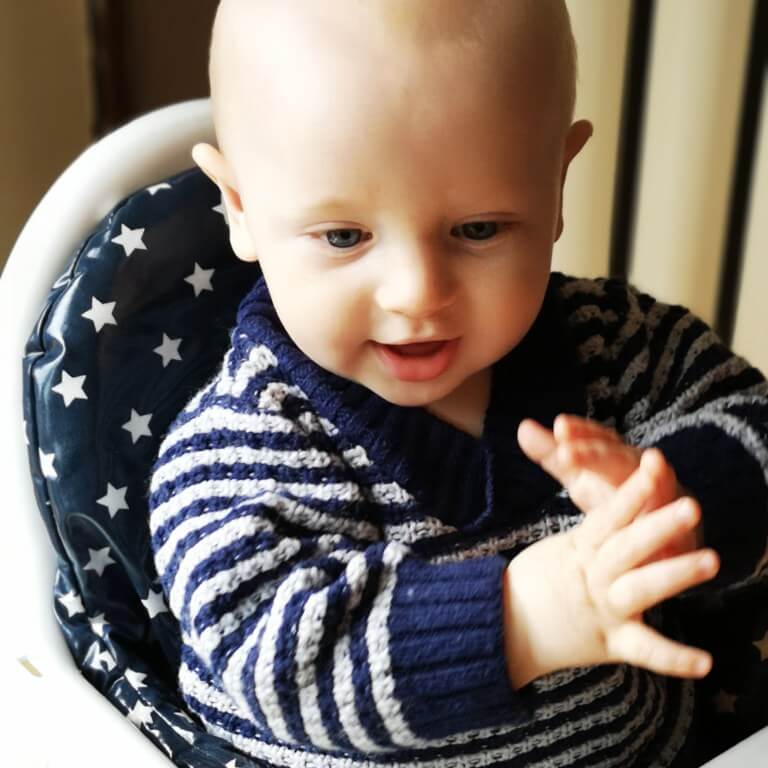 Baby Led Weaning Essentials You Need Right Now