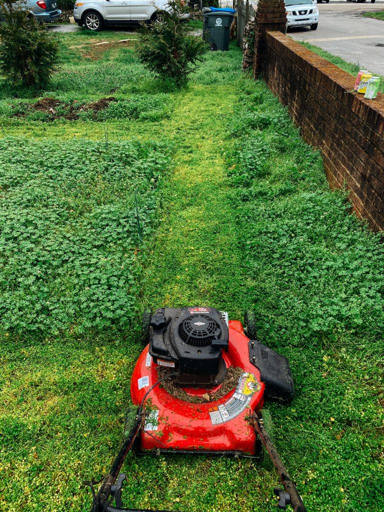 1. Get green fingers