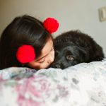 4 Things To Consider When Getting a Dog for the Family