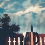 Four Home Improvements To Boost Your Energy Rating