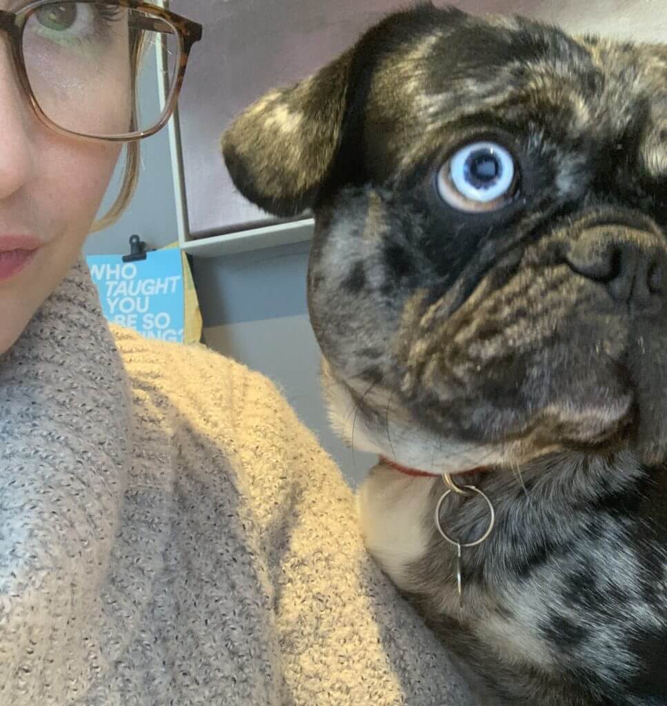 Homeworking With A Pet Frug
