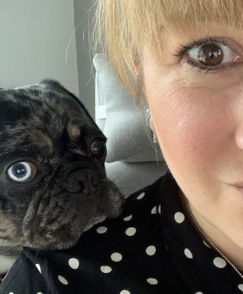 Working from home With A Pet Frug