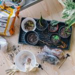 Winter Gardening Tips: 6 Ways To Prepare Your Garden For The Colder Months