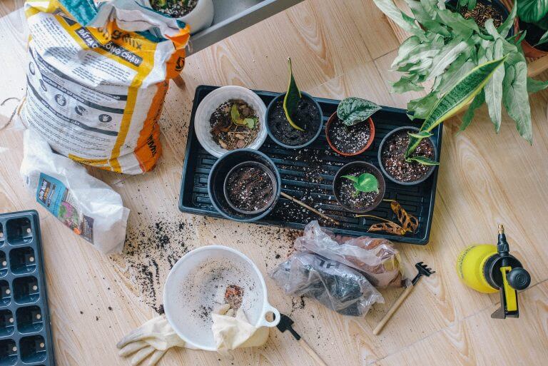 Winter Gardening Tips: 6 Ways To Prepare Your Garden For The Colder Months