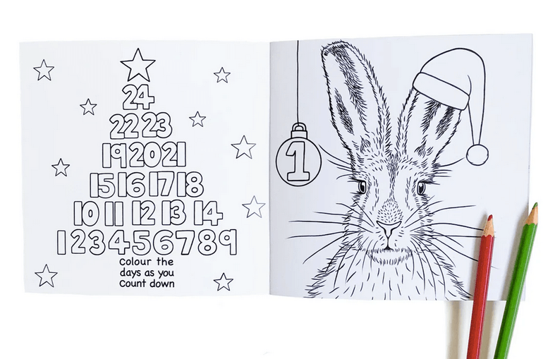 1. Promote Christmas creativity with the Wild Advent Colouring Book