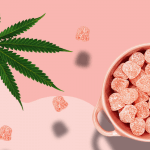 CBD Gummies for Dummies