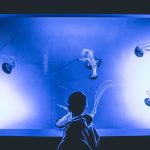Explore Dubai with your kids