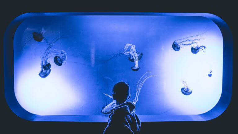 Explore Dubai with your kids