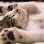 Sleepless nights? Try these 7 stress relief techniques to sleep better!
