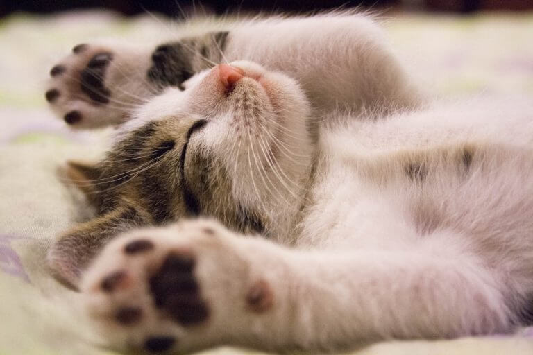 Sleepless nights? Try these 7 stress relief techniques to sleep better!