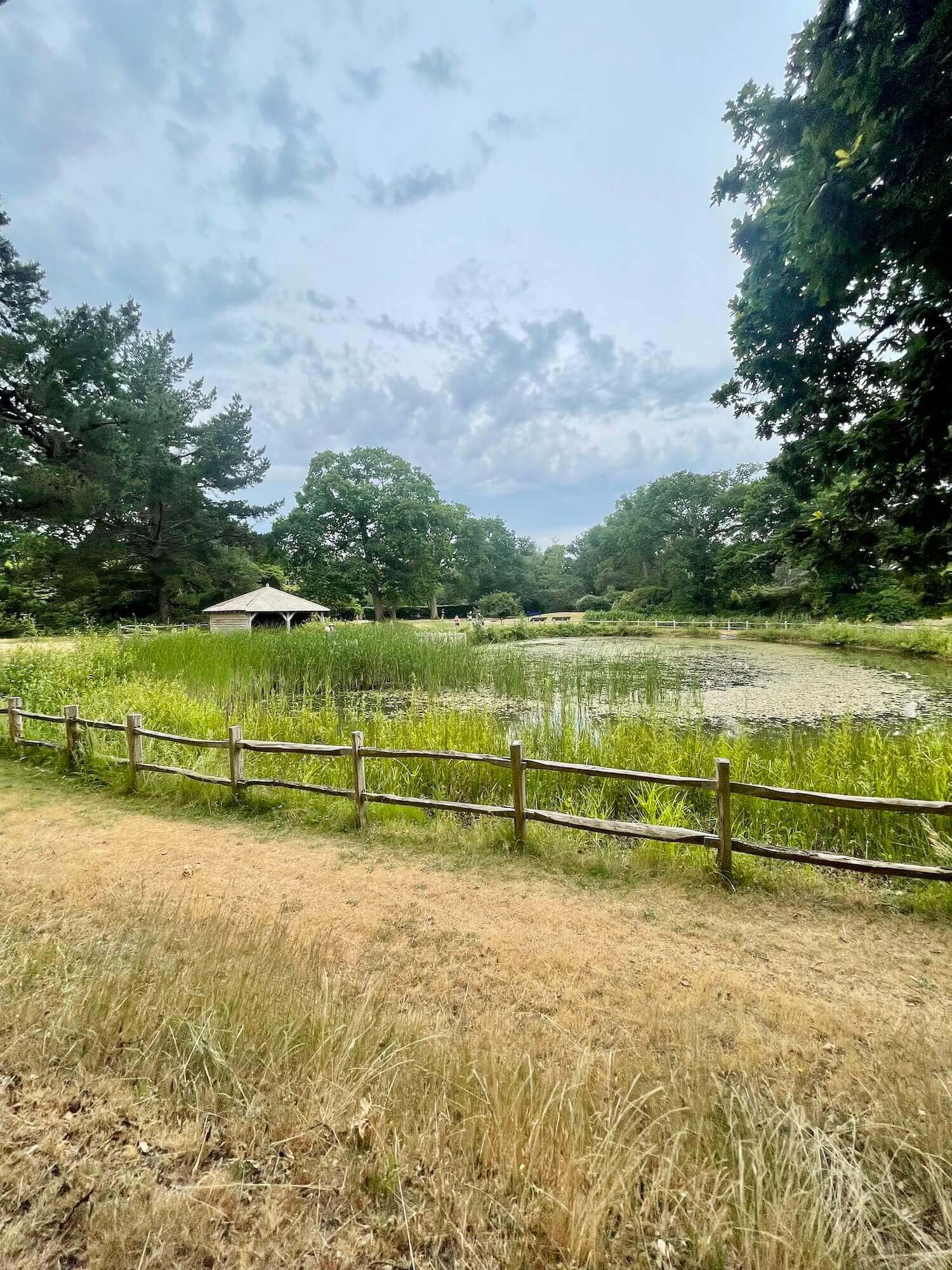 Passing Dragonfly Pond on the steam train ride at Exbury Gardens