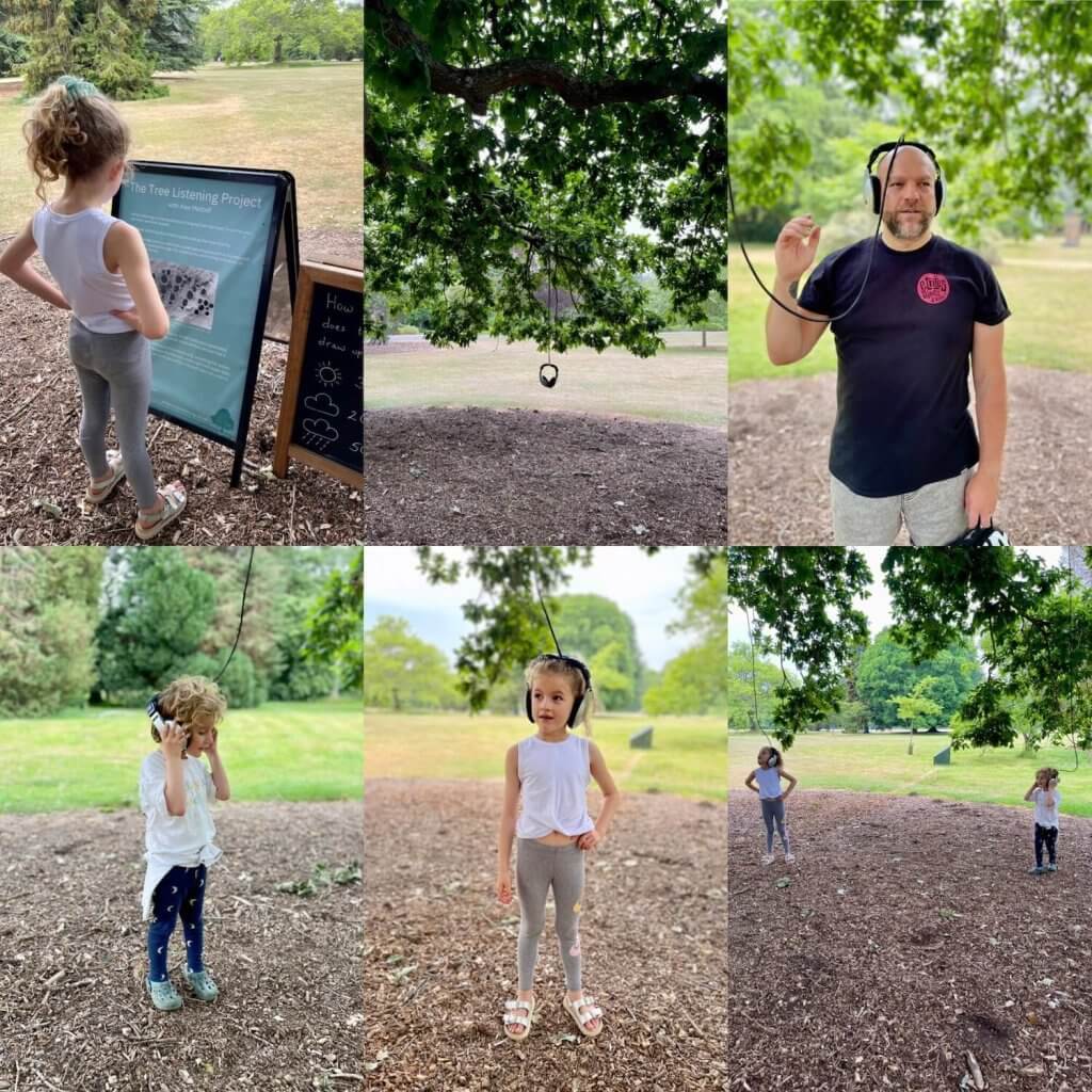The Listening Tree Project at Exbury Gardens