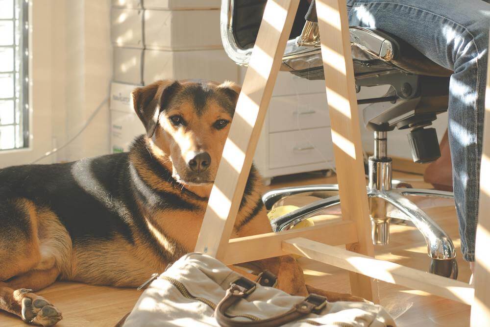 Creating Comfort with Ergonomics