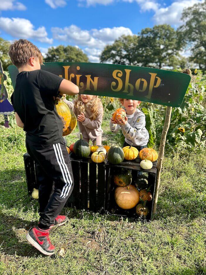 Pumpkin Picking in Hampshire