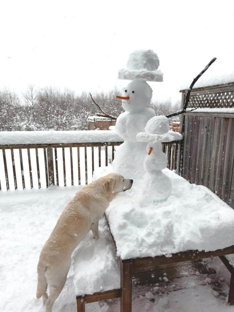 2. Make Winter Fun