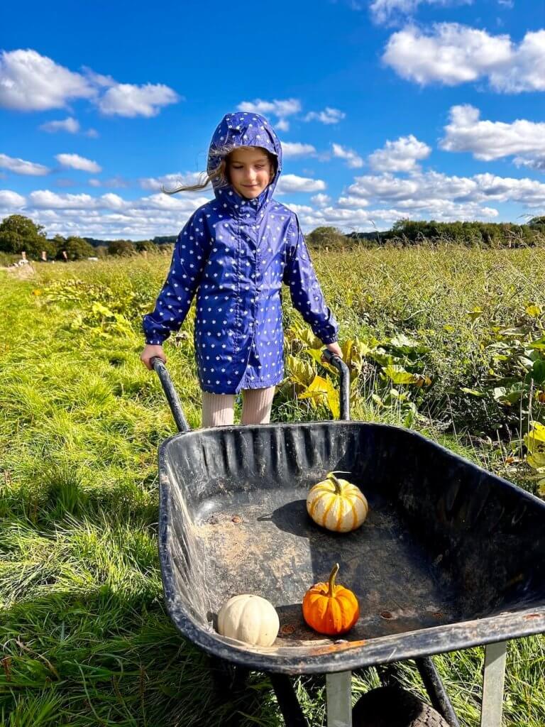 Autumn Adventures Inland And Coastal