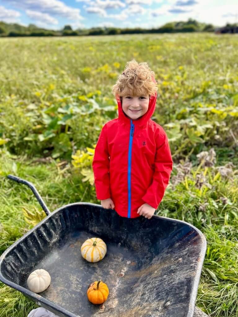 Our Family Pumpkin Picking in Hampshire Adventure