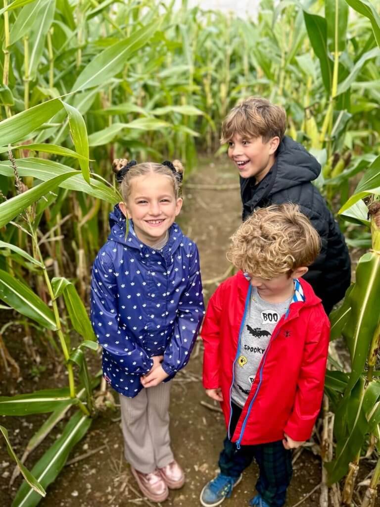 Our Family Pumpkin Picking in Hampshire Adventure