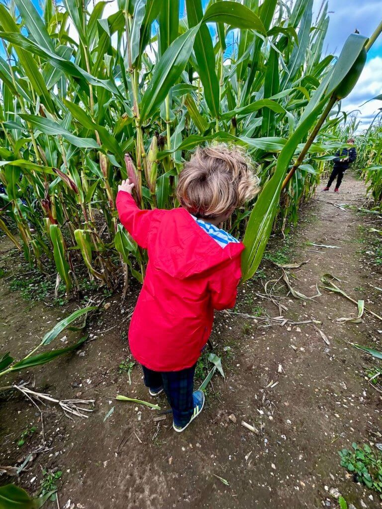 Our Family Pumpkin Picking in Hampshire Adventure