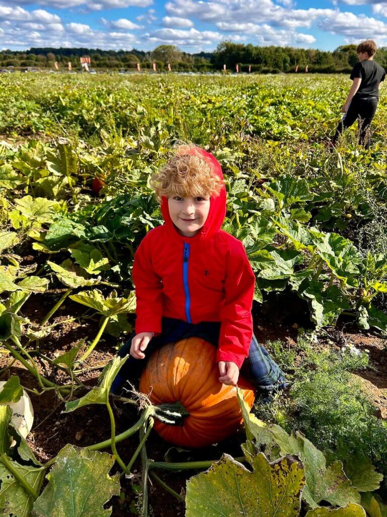 Our Family Pumpkin Picking in Hampshire Adventure
