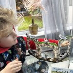 Beau’s Review of Playpress RNLI Lifeboat House & Coastal Birds Sets