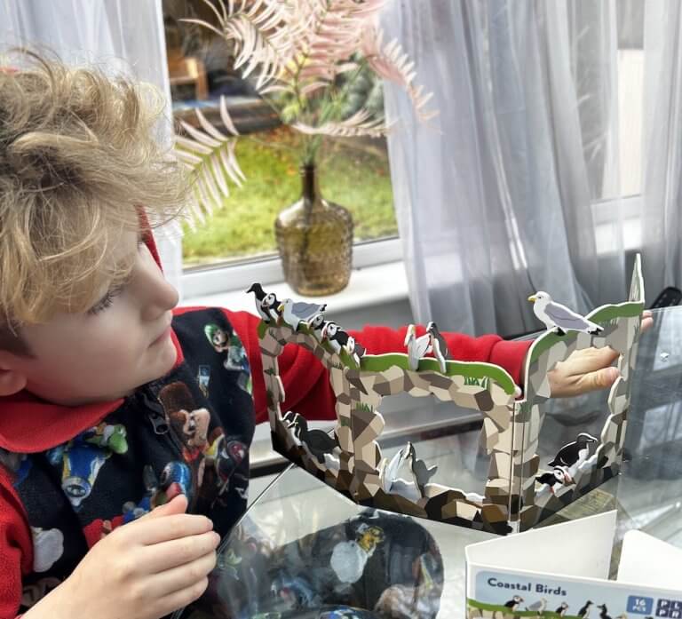 Beau’s Review of Playpress RNLI Lifeboat House & Coastal Birds Sets
