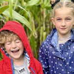 8 Places for Pumpkin Picking in Hampshire