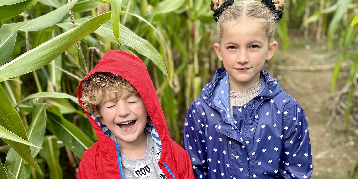 8 Places for Pumpkin Picking in Hampshire